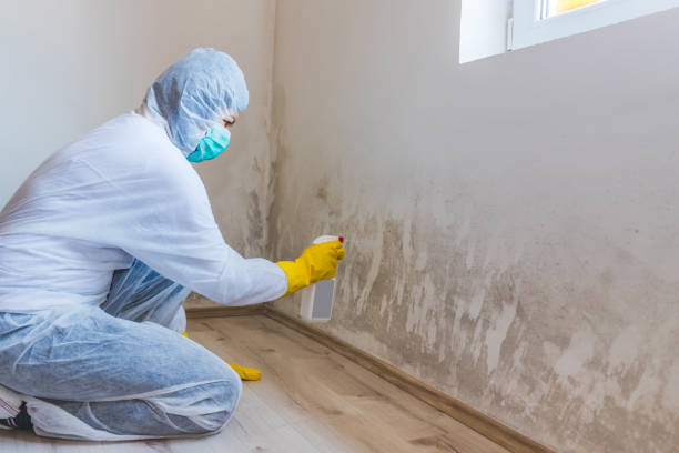 Hvac And Air Duct Mold Remediation inspection of HVAC system in Bulverde